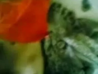 बिग लूट सेक्सी मूवी हिंदी माई बॉम्बशेल अनिका अलब्राइट