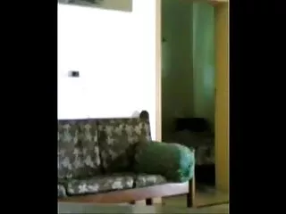कट्टर सुबह सेक्स फुल सेक्स हिंदी फिल्म