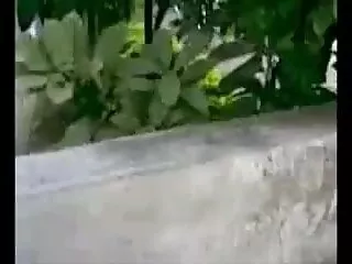 स्टड के लिए रसदार मूवी सेक्सी हिंदी में वीडियो काली बिल्ली