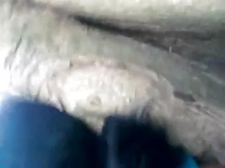 मेरी सेक्सी मूवी एचडी गर्म गंदी फूहड़